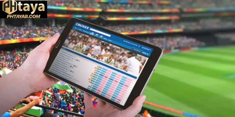 What Is Cricket Betting?
